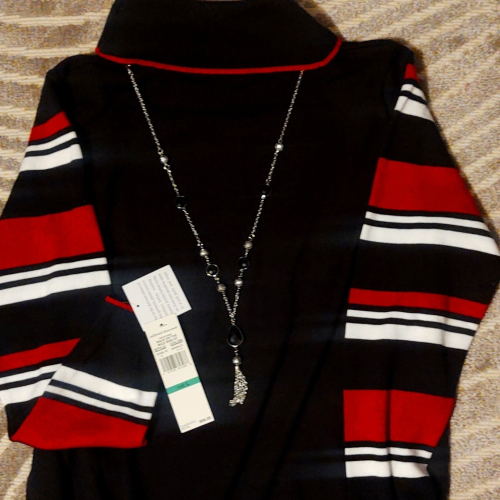Alfred Dunner turtle neck with necklace